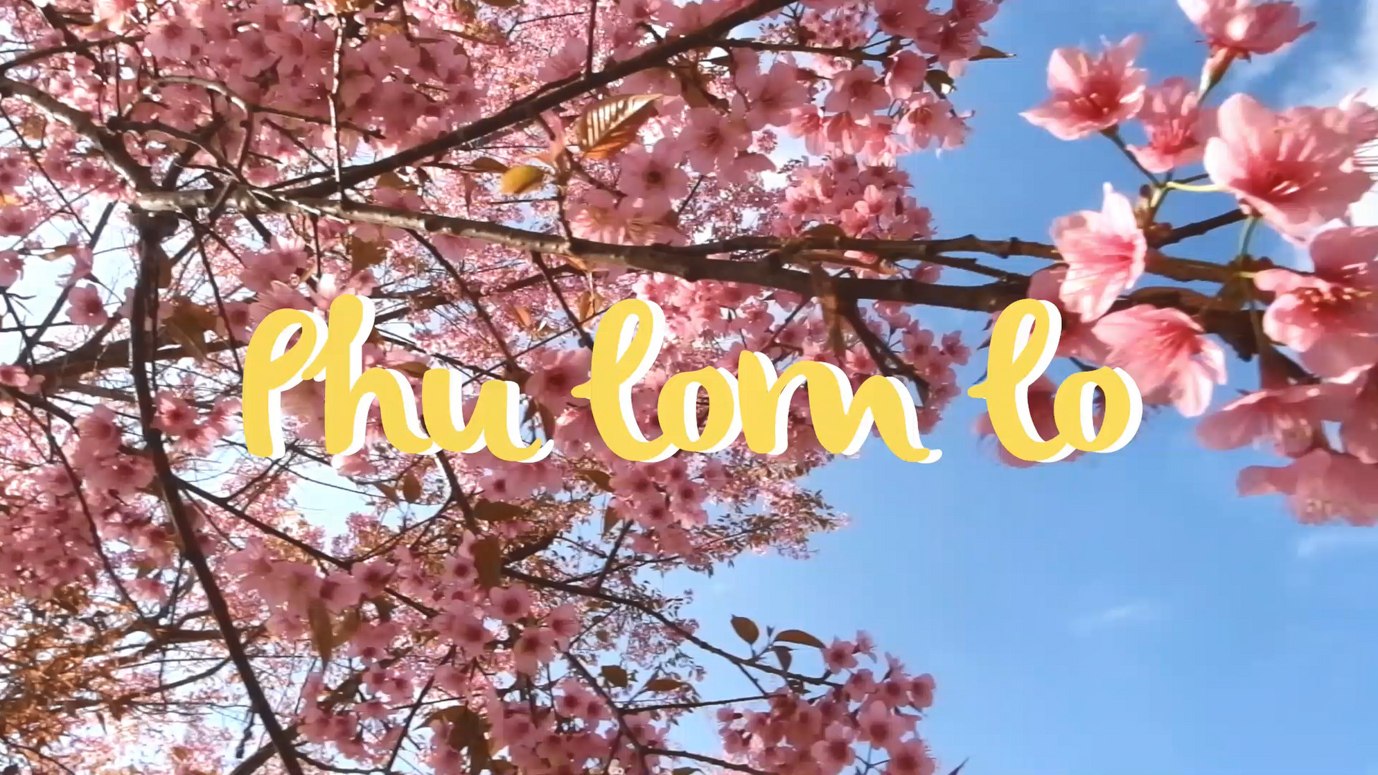 Phu lom lo